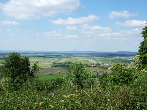 Steigerwald-Panoramaweg - Ausblick zum Stollberg - (c) Tourismusverband Steigerwald Steigerwald-Panoramaweg - Ausblick zum Stollberg - (c) Tourismusverband Steigerwald