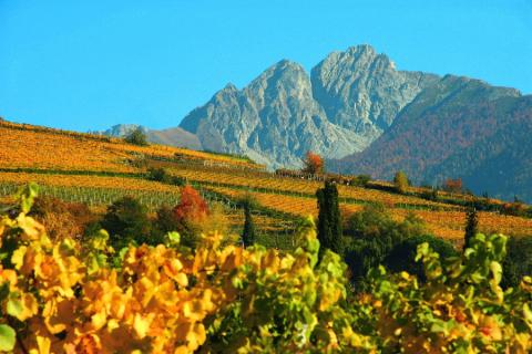 Herbststimmung in Algund Südtirol