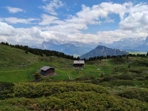 Almwanderung auf der Seiser Alm - Endlich wieder Südtirol – Mit Abstand der schönste Urlaub - (c) Susanne Wess