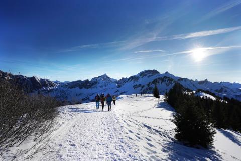 Am Scheitelpunkt der Wanderung macht der Weg eine Spitzkehre - Winterwanderung auf dem Neunerköpfle - (c) Maren Recken