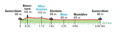 Auf dem Rheinhöhenweg von Guntersblum nach Dienheim, Weinberg bei Oppenheim