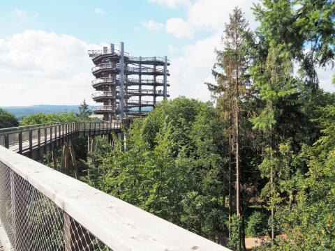Der Baumwipfelpfad Saarschleife - durch die Wipfel des Waldes bis zum Aussichtsturm über der Saarschleife - (c) Jörg Bornmann Der Baumwipfelpfad Saarschleife - durch die Wipfel des Waldes bis zum Aussichtsturm über der Saarschleife - (c) Jörg Bornmann