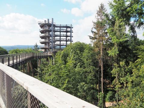 Der Baumwipfelpfad Saarschleife - durch die Wipfel des Waldes bis zum Aussichtsturm über der Saarschleife - (c) Jörg Bornmann