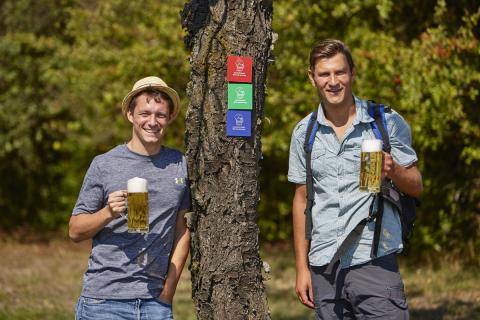 Wandervergnügen mit Qualitätssiegel - Vier Routen im „Lieblichen Taubertal“ besitzen Prädikat - (c) Liebliches Taubertal Wandervergnügen mit Qualitätssiegel - Vier Routen im „Lieblichen Taubertal“ besitzen Prädikat - (c) Liebliches Taubertal