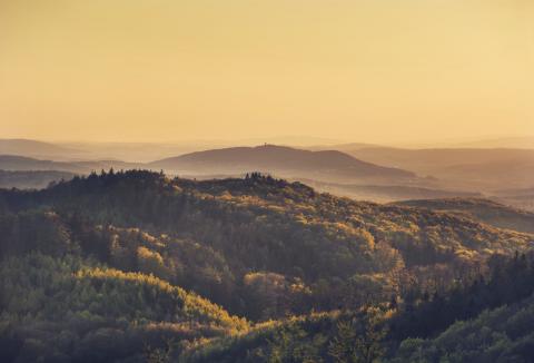 Biosphärenpark Wienerwald - Blick von der Troppbergwarte - (c) Wienerwald Tourismus, Andreas Hofer