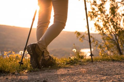 Wandern, wo der Rotwein wächst - (c) Churfranken e.V./News Verlag