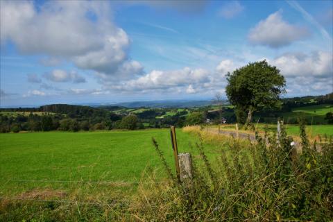 Der Vogelsberg liegt ziemlich genau in der Mitte Deutschlands, nördlich von Frankfurt am Main in Hessen - Wandern im Vogelsberg – Die Gipfeltour Schotten - (c) Gabi Vögele