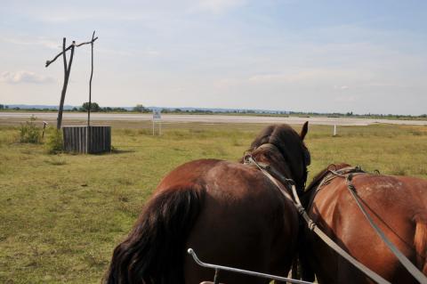 Der Neusiedler See mit einem Hauch Ungarn