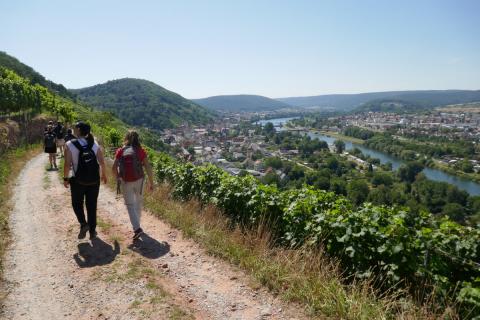 Der Erfinder des fränkischen Rotweinwanderweges, Willi Stritzinger - (c) Klaus Pfenning