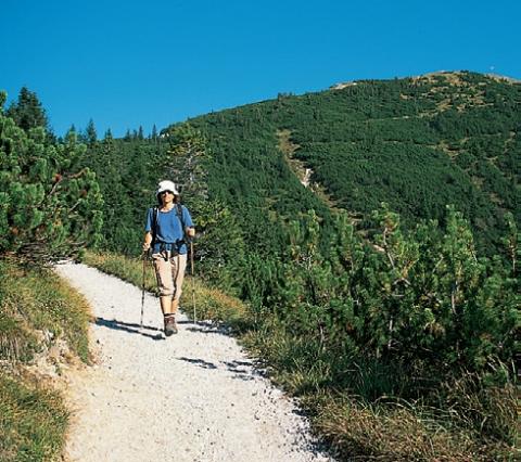 Heimgarten Abstiegsweg