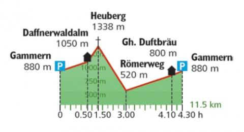 Wanderung auf den Heuberg im Chiemgau - Höhenprofil Wanderung auf den Heuberg im Chiemgau - Höhenprofil