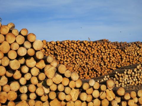 Die Holzwirtschaft boomt im Waldviertel - (c) Eva-Maria Mayring