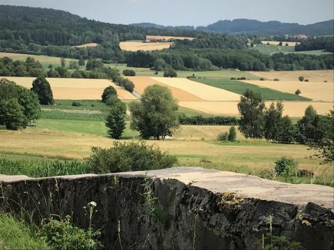 Waldeck – Kräuter sammeln und Waldbaden - (c) Gabi Dräger Waldeck – Kräuter sammeln und Waldbaden - (c) Gabi Dräger