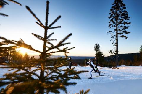 Langlaufen in der Ferienregion (© Marco Felgenhauer, Woidlife Photography, Ferienregion Nationalpark Bayerischer Wald)