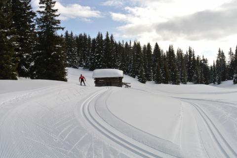 Neuschnee in Osttirol - Langlaufparadies Obertilliach