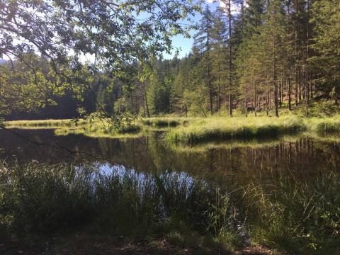 Osttirol - Lienzer Talboden Rundweg (c) - Osttirol Werbung Haselsteiner