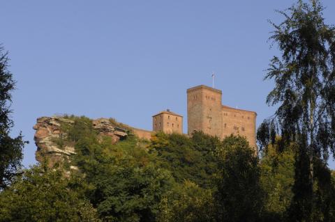 Wandern zum Trifels wird zum Erlebnis - (c) SÜWev