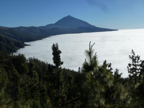 Der Norden Teneriffas – Vulkane, Regenwald und Meer - (c) Gabi Dräger