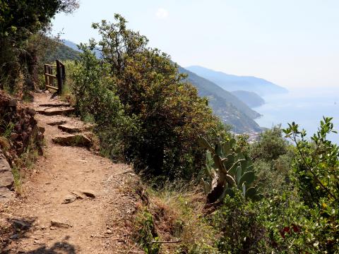 Wandern mit Meerblick in Ligurien - Unterwegs zwischen den fünf Dörfern der Cinque Terre - (c) Christine Kroll