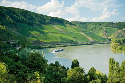König Riesling am Bopparder Hamm Mittelrheinischer Weinfrühling an der größten Schleife des Rheins - Rheinland-Pfalz Tourismus GmbH