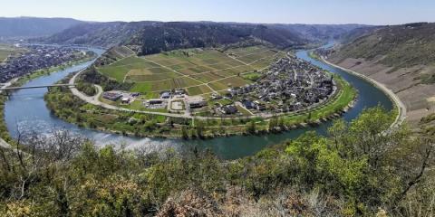 Winzerprojekt für den Moselwein - Wandern auf dem Breva Wein & Weg durch den Valwiger Herrenberg - (c) Rheinland-Pfalz Tourismus GmbH