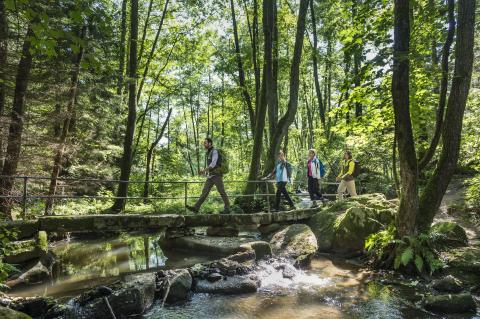 Die schönsten Schattenwanderungen für den heißen Sommer - (c) Top-Trails of Germany Die schönsten Schattenwanderungen für den heißen Sommer - der Lerautal mit Schafsteg bei Leuchtenberg - (c) Top-Trails of Germany