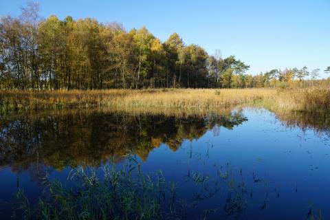 Schwalmbursch - Blick vom Steg im Sommer - (c) NPSN Baier