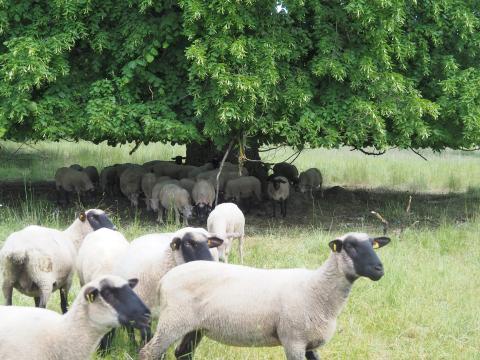 Die Bachtour bei Lauterbach - Sanfte Hügel, Wald- und Wiesenlandschaften, durchzogen von kleinen Bächen und Biotopen - (c) Jörg Bornmann