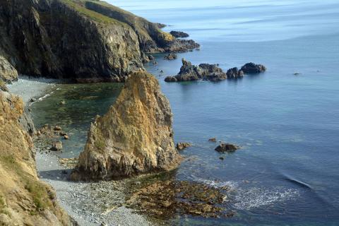 Cooper Coast bei Rathinure - (c) Jörg Berghoff