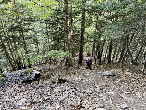 Steil geht es im Ordesa-Tal durch den Wald zur Senda de los Cazadores - (c) Christine Kroll