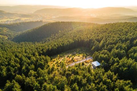 Rennsteig in Thüringen - (c) Thüringen Tourismus