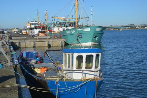 Der Hafen von Wexford (Irland) - (c) Jörg Berghoff