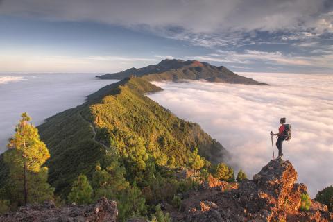 La Palma: Ein erstklassiges Biosphärenreservat 4000 Meter über dem Atlantik - (c) Saul Santos La Palma: Ein erstklassiges Biosphärenreservat 4000 Meter über dem Atlantik - (c) Saul Santos