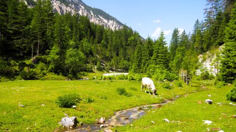 Outdoor-Aktivitäten für die ganze Familie: Spaß für Groß und Klein - (c) Jörg Bornmann