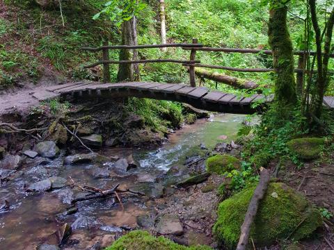Magie der drei Schluchten - Ein wahres Wandermärchen im Naturpark Schwäbisch-Fränkischer Wald - (c) Evelyn und Ralph Scheer Magie der drei Schluchten - Ein wahres Wandermärchen im Naturpark Schwäbisch-Fränkischer Wald - (c) Evelyn und Ralph Scheer
