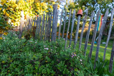 Schlafplatz ist im kleinsten Stängel - jetzt den Garten zum Winterquartier für Igel, Vögel und Insekten machen - (c) NABU Schlafplatz ist im kleinsten Stängel - jetzt den Garten zum Winterquartier für Igel, Vögel und Insekten machen - (c) NABU