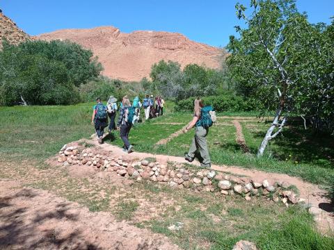 Auf unserem Trekking wandern wir mal durch grüne Felder... - (c) Christine Kroll