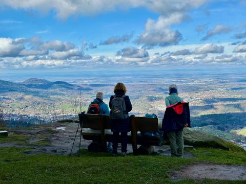Nordschwarzwald: Tour zu den Teufelskammern - (c) Armin Herb