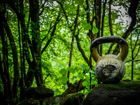 Was den Nike Metcon zur ersten Wahl für anspruchsvolle Athleten macht - (c) Pixabay/Mikewildadventure