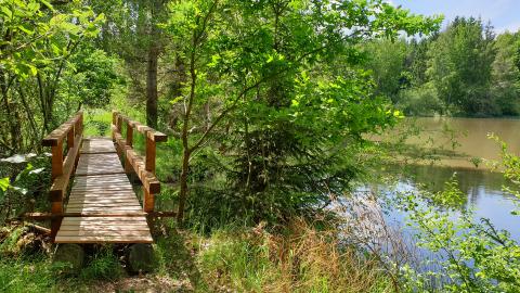 Wanderregion mit Qualität – die Vulkanregion Vogelsberg mit vielen Qualitätswanderwegen in einer einzigartigen Natur - (c) Petra Schwing-Döring