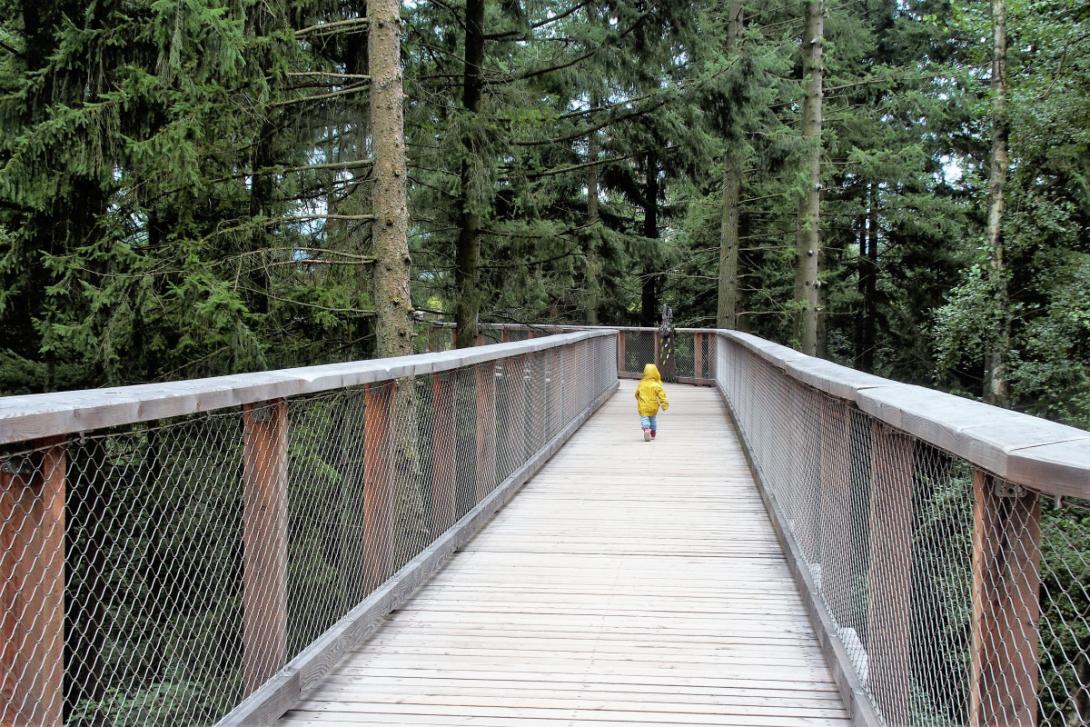 Der Baumwipfelpfad Saarschleife Wanderfreak