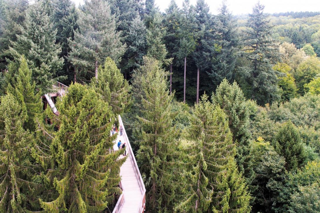 Der Baumwipfelpfad Saarschleife Wanderfreak